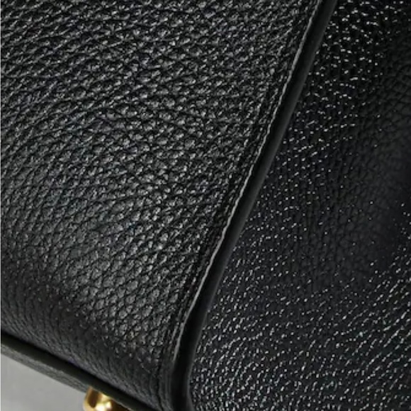 Channing Carryall Coach Purse with Coach Storage Bag - Picture 5 of 15